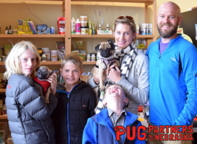 Featured Rescue Pug Partners of Nebraska