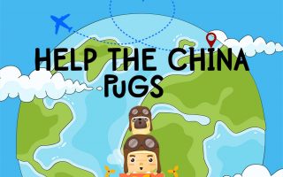 Help The China Pugs!