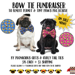 Bow tie fundraiser